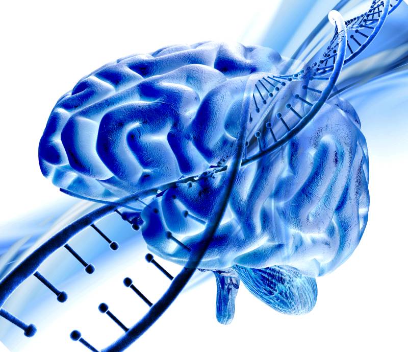L’impact des neurosciences dans la psychologie positive appliquée au coaching professionnel
