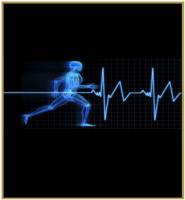 Nos prestations sur le secteur de Toulouse Occitanie