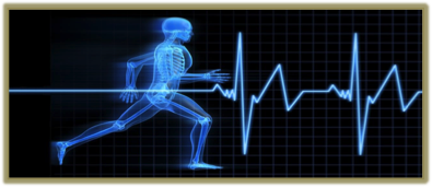 Notre zone d'activité pour ce service Formation avec utilisation des neurosciences et biologie du changement appliquées au coaching